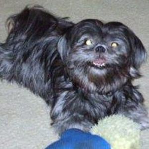 Meet your Posher, Cheryl